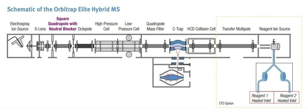 Schéma d'un spectromètre de masse hydrie