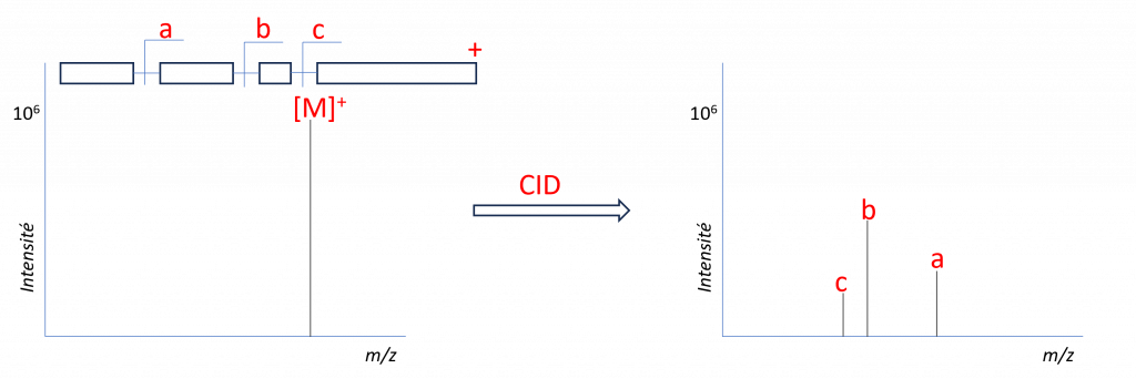Spectre de fragmentation 