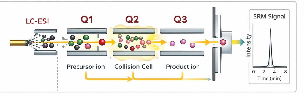 Mode analyse ciblé Multiple reaction Monitoring