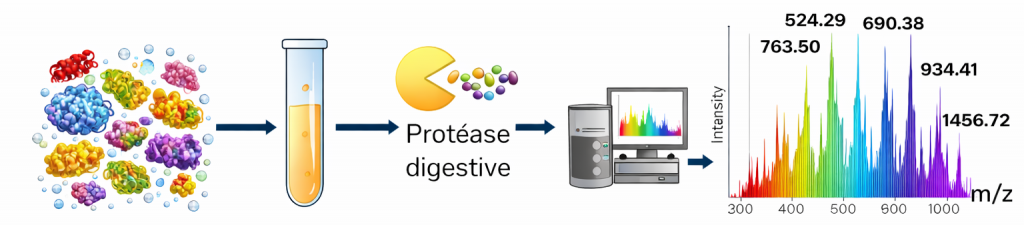 Stratégie bottom up